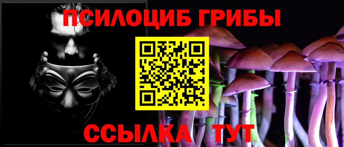 Галлюциногенные грибы Psilocybe  купить  цена  Пенза  Вход с VPN  Псилоцибиновые грибы Psilocybe 